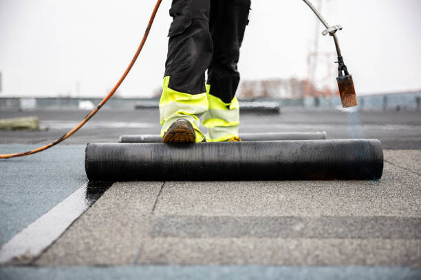 Emergency Roof Repair in San Luis, AZ