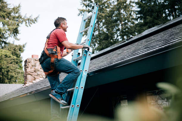 Best Skylight Installation and Repair  in San Luis, AZ